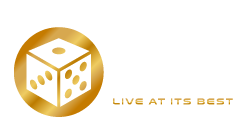 Vivo Live