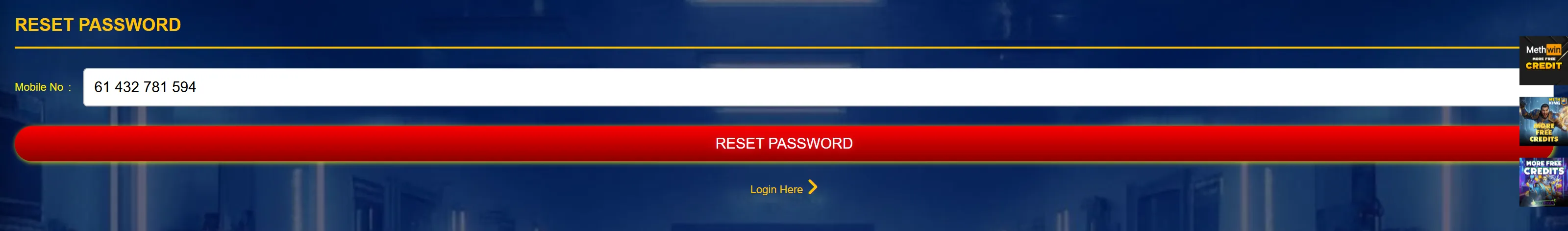 Password recovery interface
